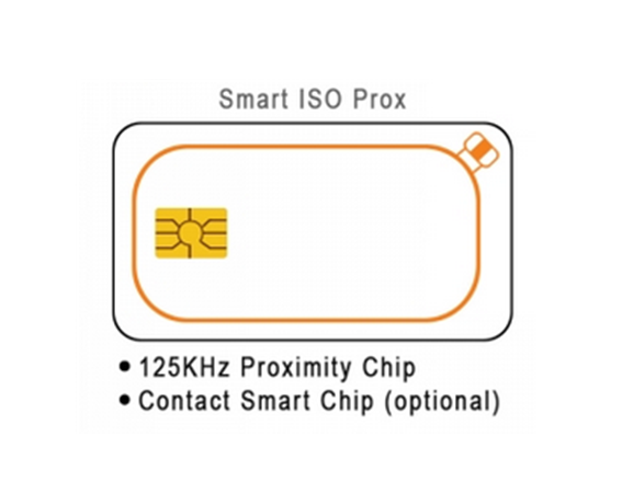 RFID DUAL CARD CARD with Magnetic Stripe Card with Contact IC